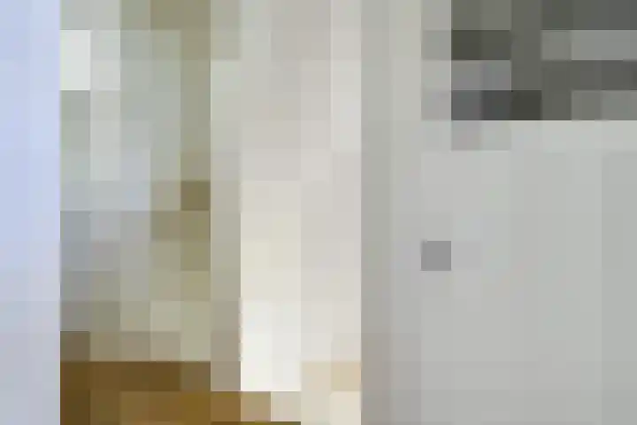 Nieuwlichtstraat 5 BS Utrecht thumbnail 6