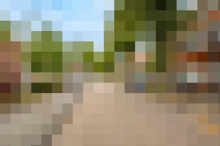 Nieuwlichtstraat 7 BS Utrecht thumbnail 31