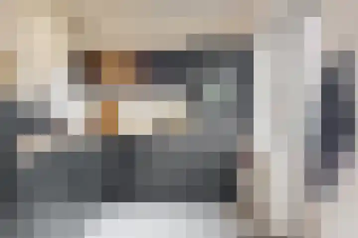 Nieuwlichtstraat 76 Utrecht thumbnail 11