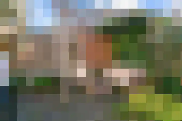 Nieuwlichtstraat 76 Utrecht thumbnail 27