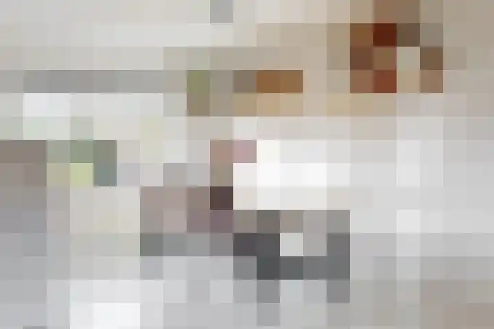 Nieuwlichtstraat 76 Utrecht thumbnail 8