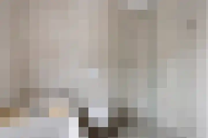 Nieuwluststraat 21 A Enschede thumbnail 24