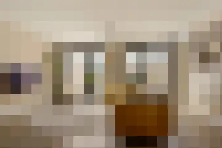 Nieuwluststraat 21 A Enschede thumbnail 6