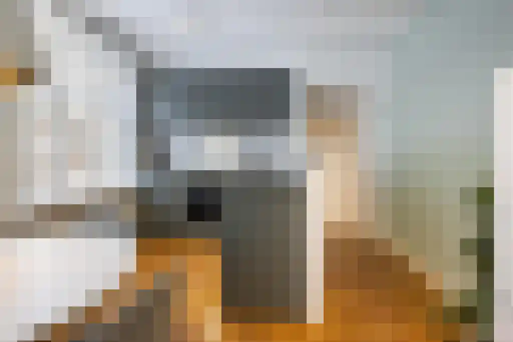 Nieuwmarkt 14 Amsterdam thumbnail 6