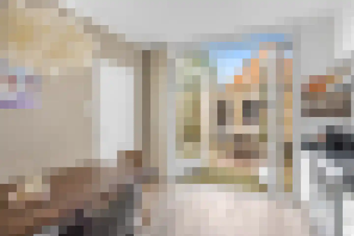Nieuwmarkt 14 Bolsward thumbnail 13