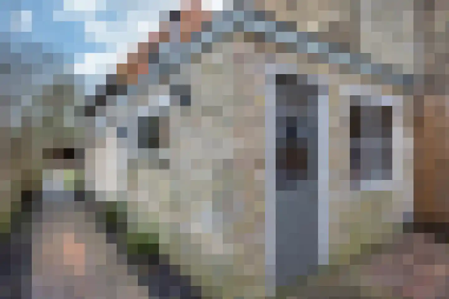 Nieuwmarkt 14 Bolsward thumbnail 32
