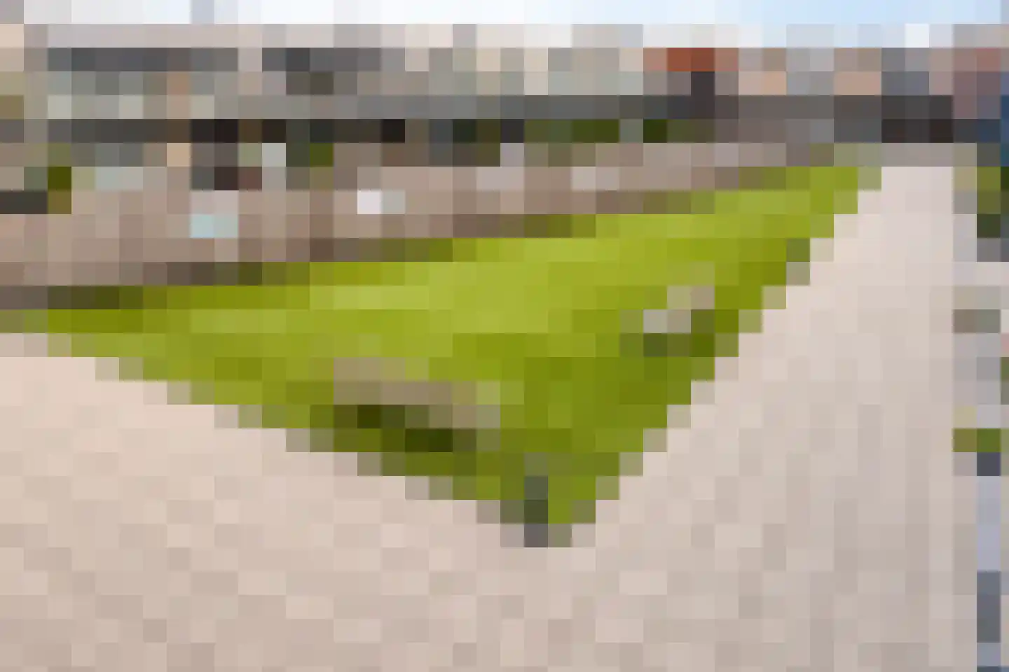 Nieuwmarkt 33 Lichtenvoorde thumbnail 23