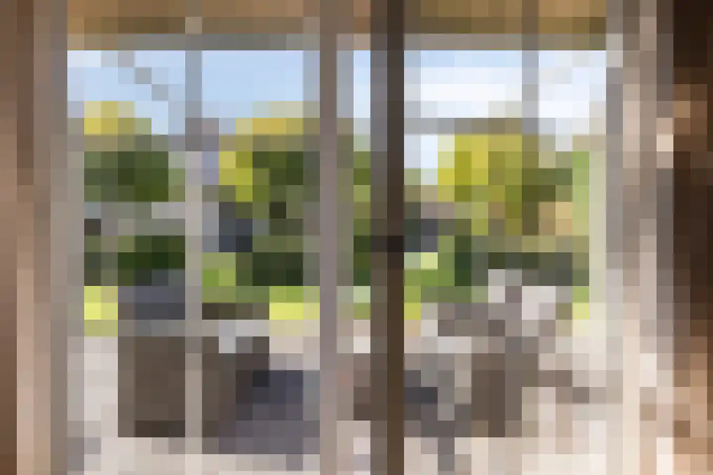 Nieuwmoersesteenweg 84 Paterswolde thumbnail 13