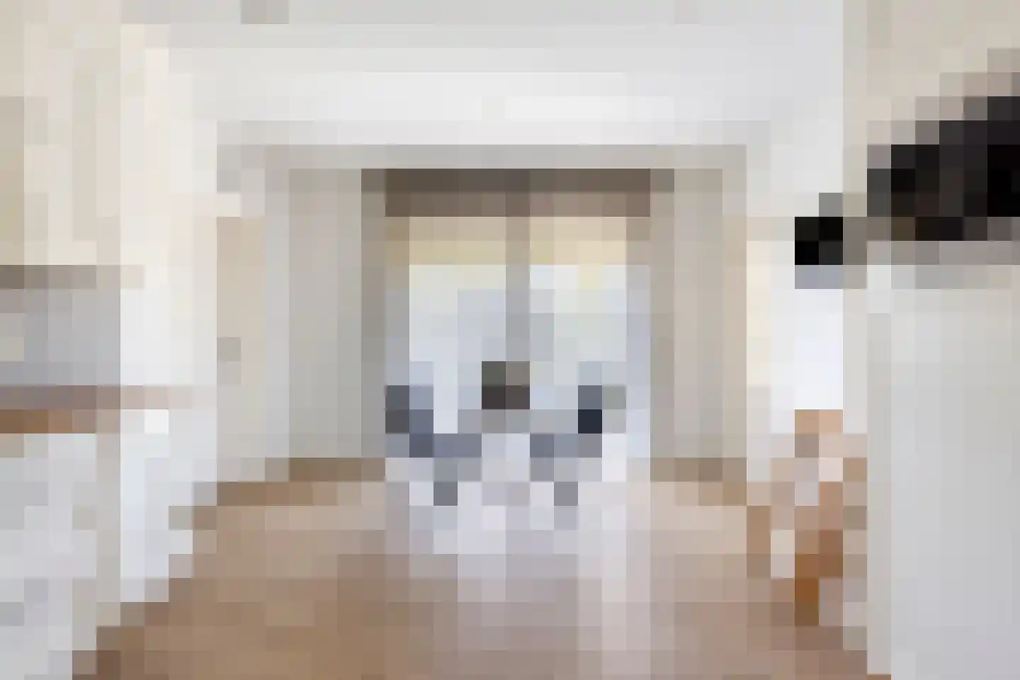 Nieuwmoersesteenweg 84 Paterswolde thumbnail 14