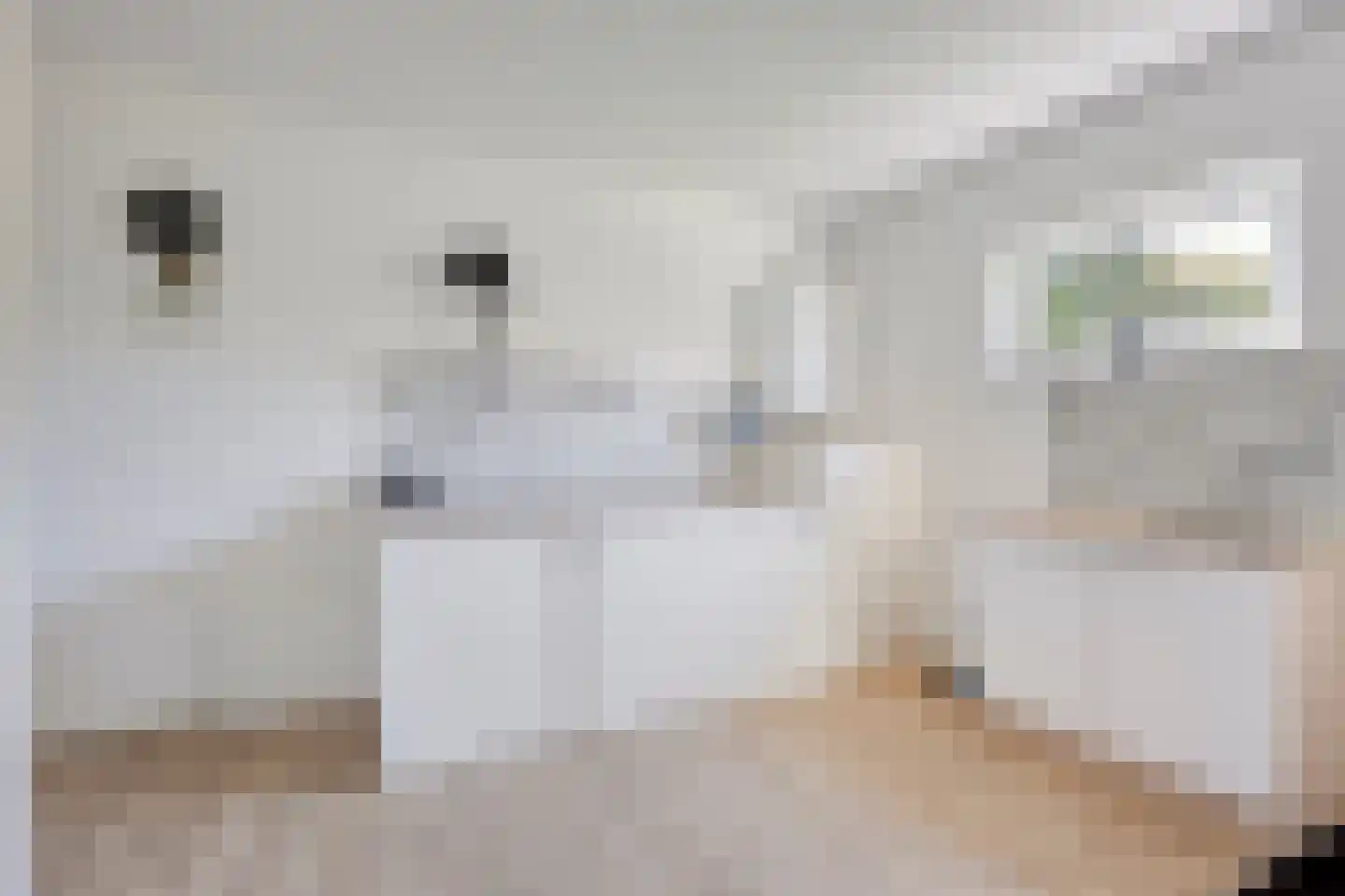 Nieuwmoersesteenweg 84 Paterswolde thumbnail 16