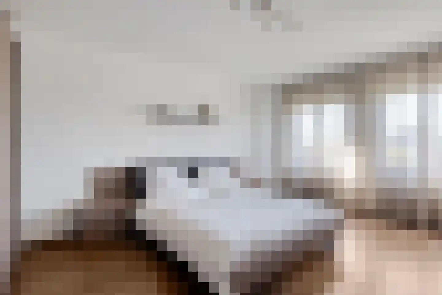 Nieuwmoersesteenweg 84 Paterswolde thumbnail 20