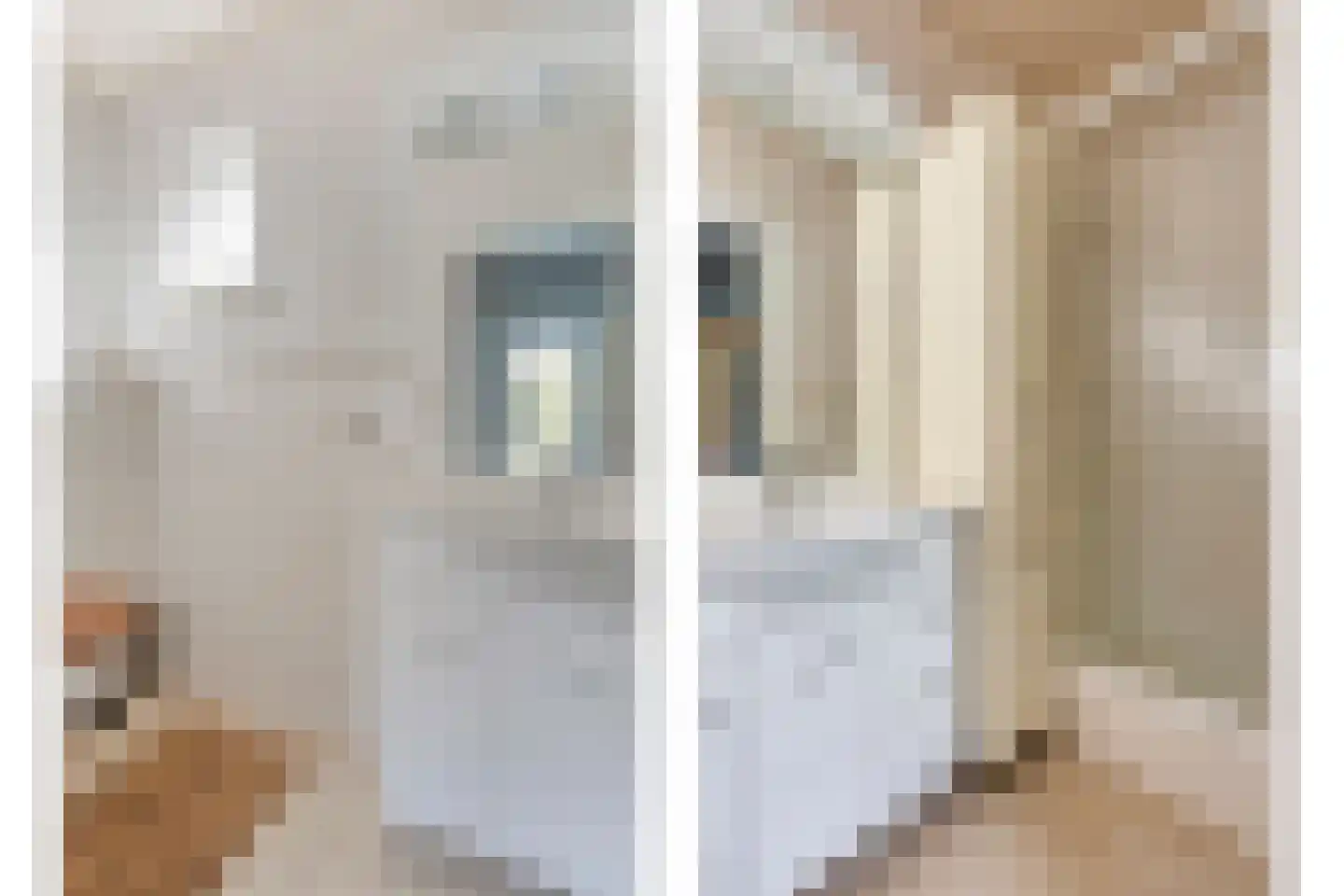 Nieuwmoersesteenweg 84 Paterswolde thumbnail 26