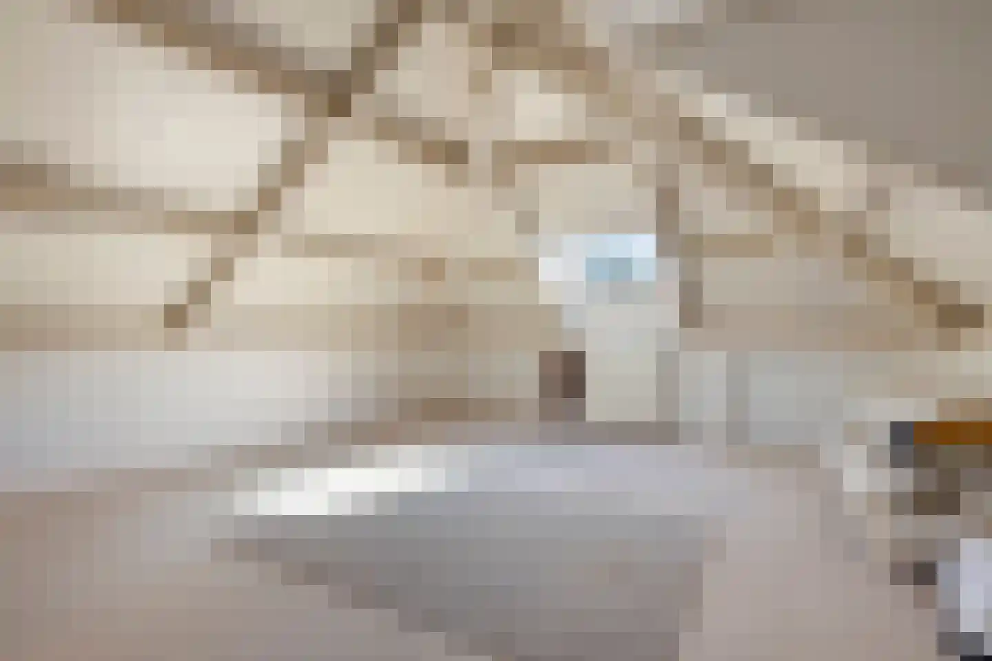 Nieuwmoersesteenweg 84 Paterswolde thumbnail 27