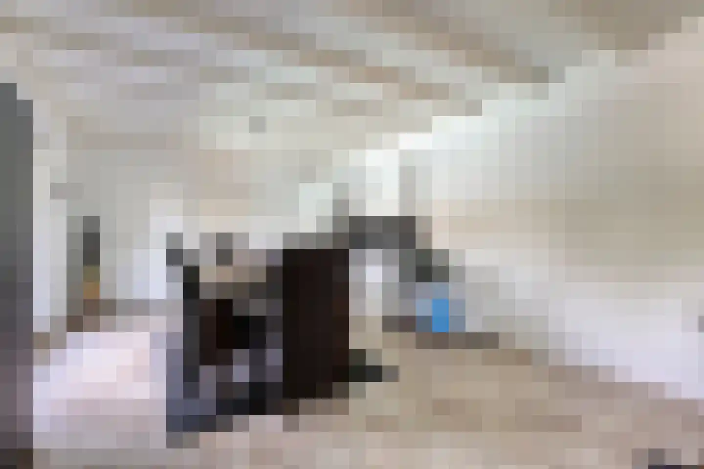 Nieuwmoersesteenweg 84 Paterswolde thumbnail 37