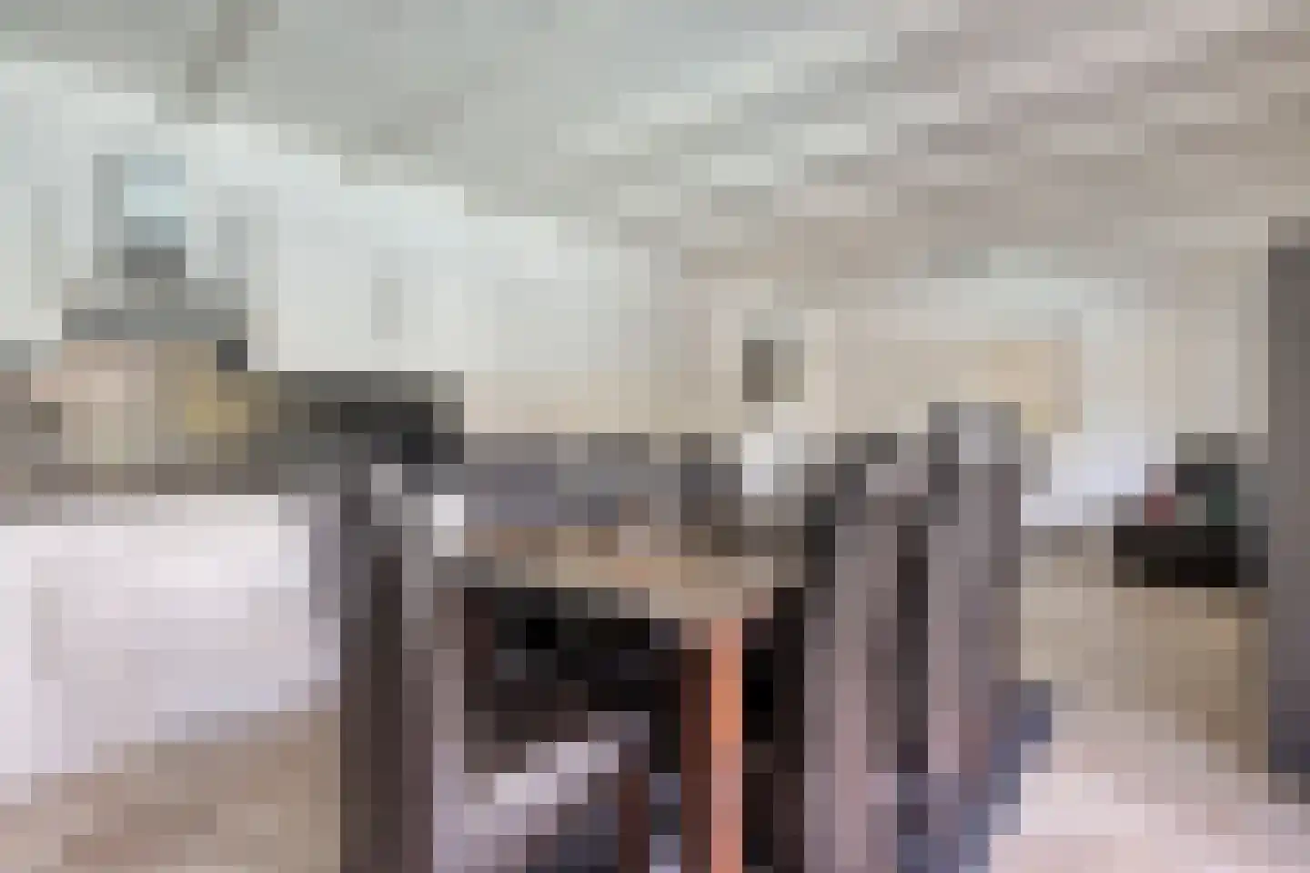 Nieuwmoersesteenweg 84 Paterswolde thumbnail 38