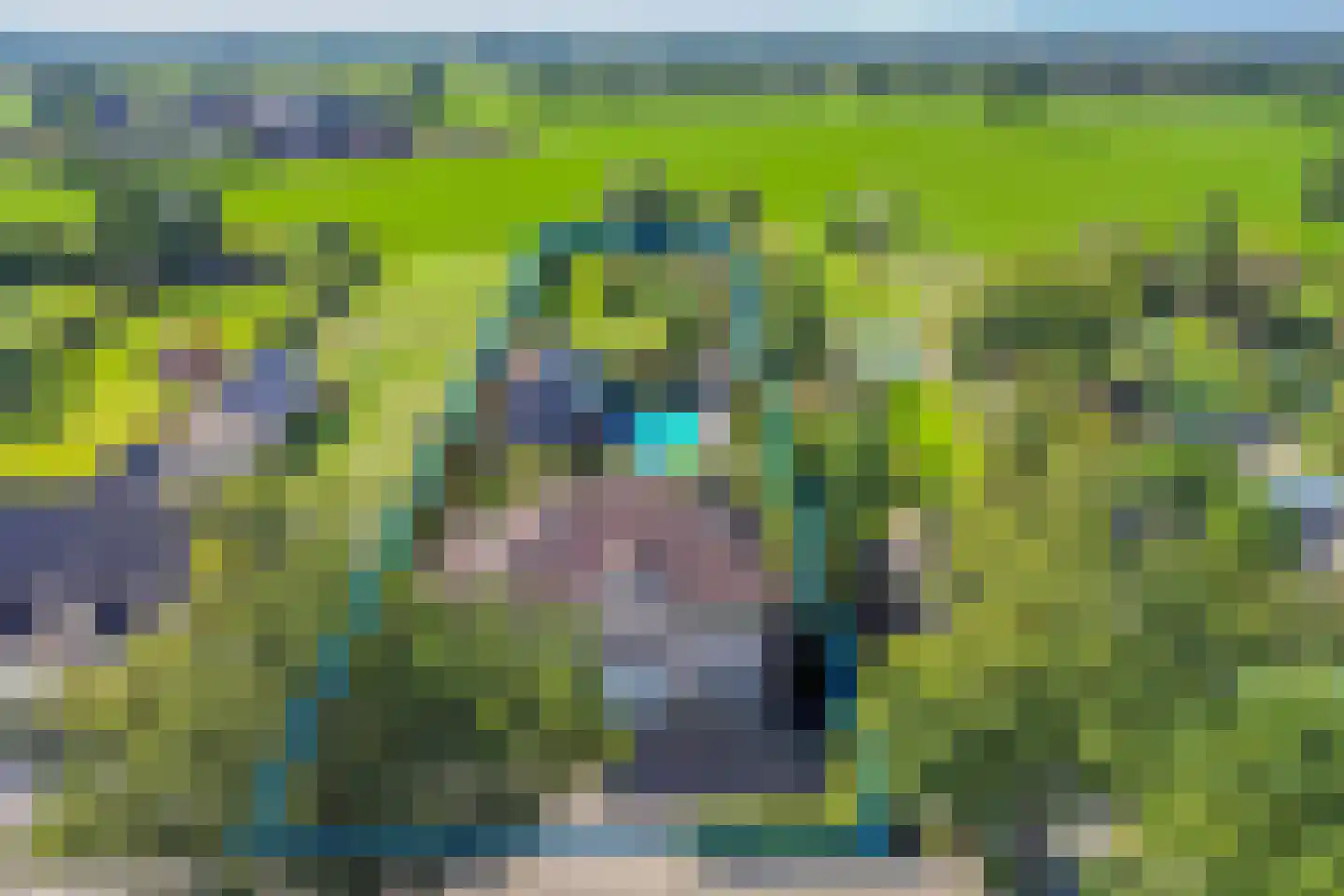 Nieuwmoersesteenweg 84 Paterswolde thumbnail 4
