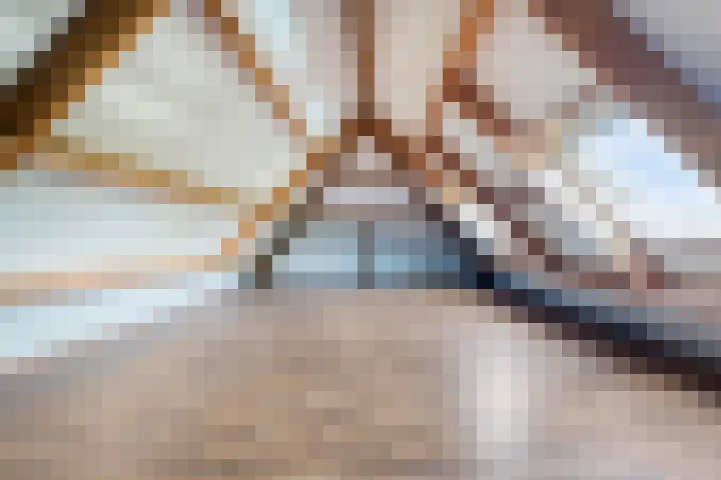 Nieuwmoersesteenweg 84 Paterswolde thumbnail 41