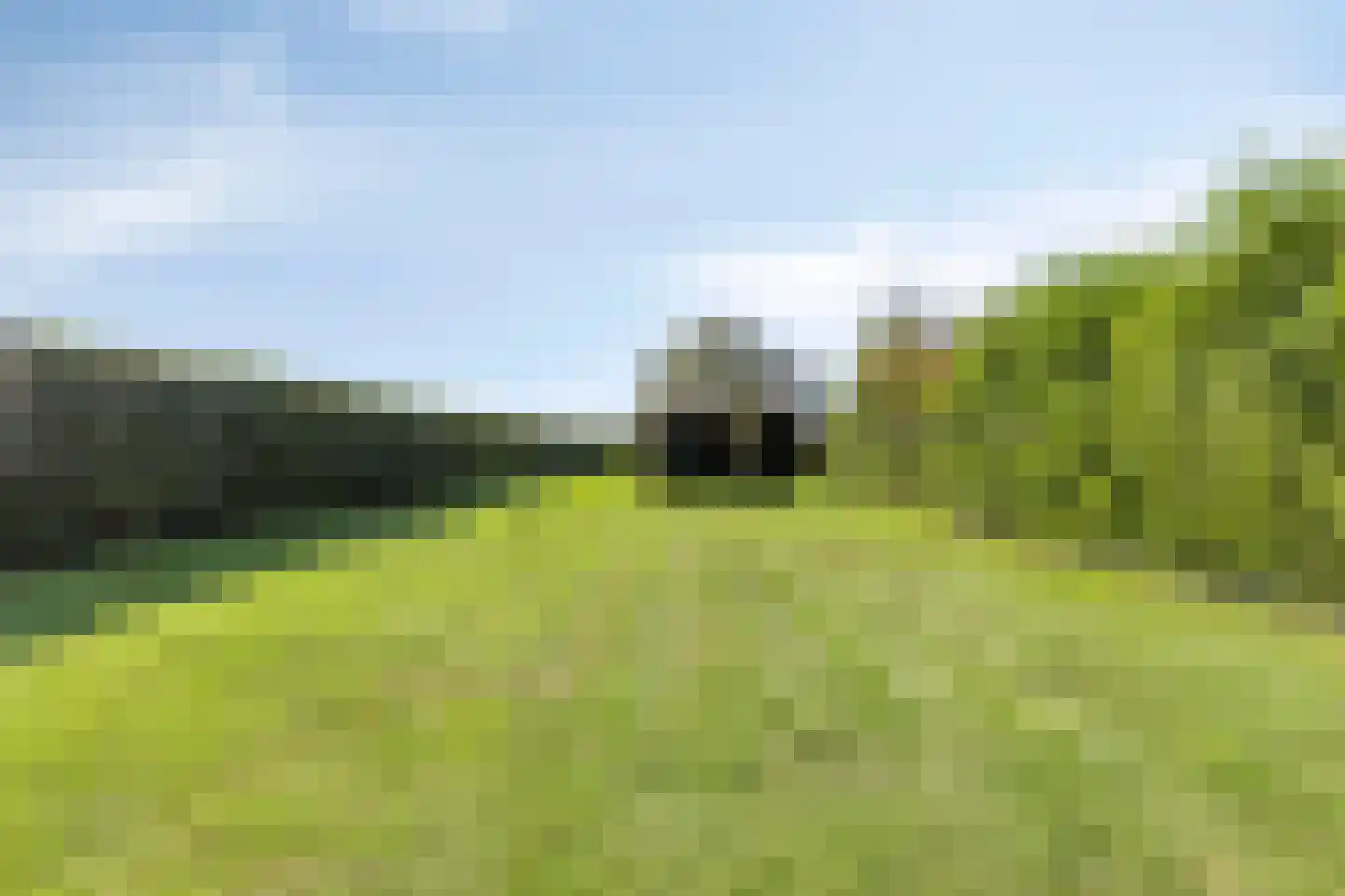 Nieuwmoersesteenweg 84 Paterswolde thumbnail 42