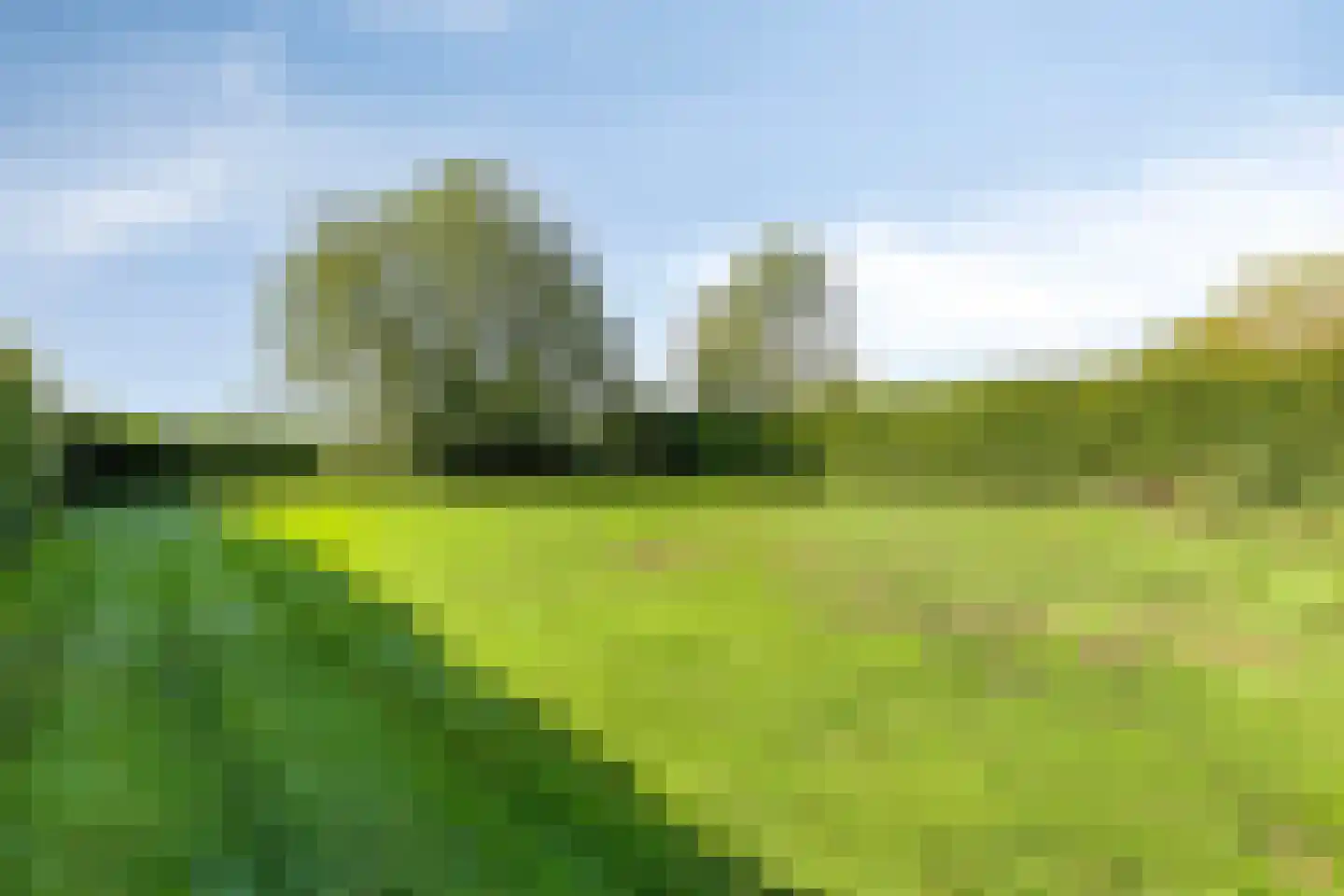 Nieuwmoersesteenweg 84 Paterswolde thumbnail 43
