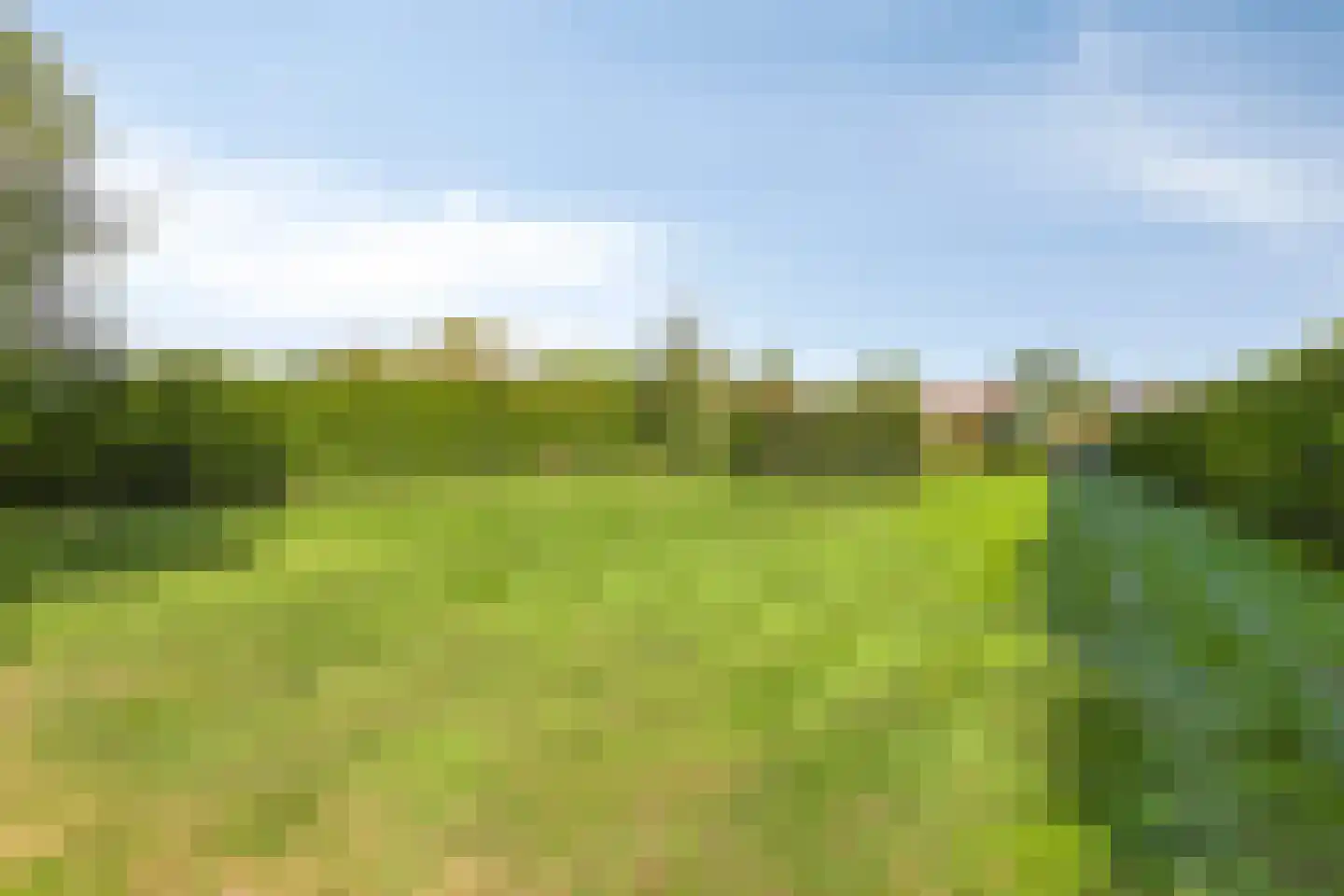 Nieuwmoersesteenweg 84 Paterswolde thumbnail 44