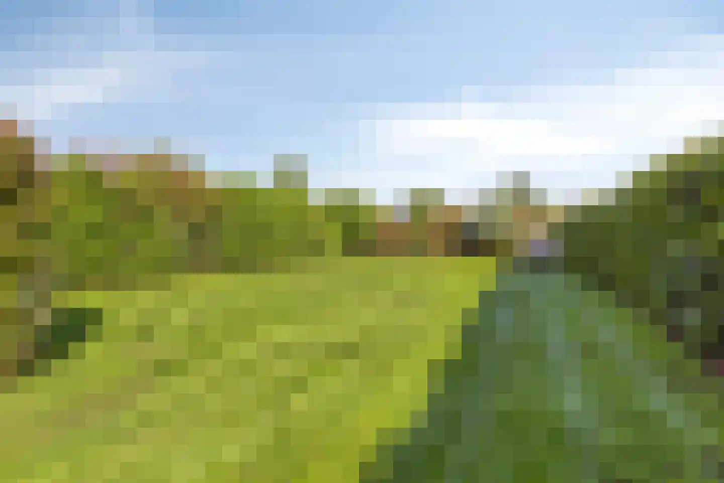 Nieuwmoersesteenweg 84 Paterswolde thumbnail 45