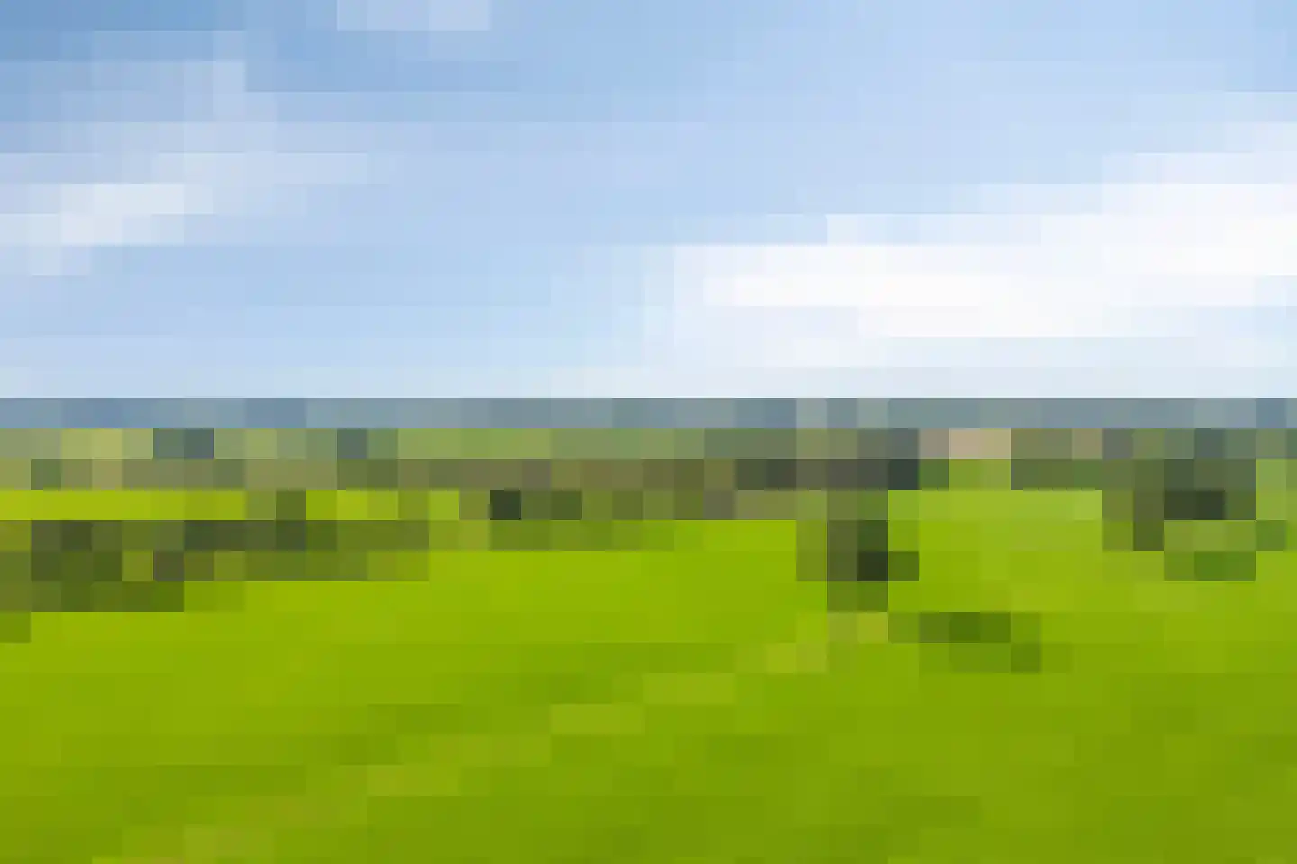 Nieuwmoersesteenweg 84 Paterswolde thumbnail 46