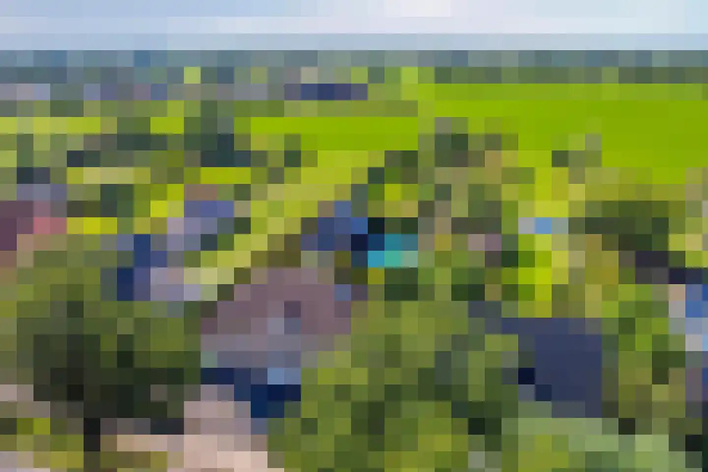 Nieuwmoersesteenweg 84 Paterswolde thumbnail 49