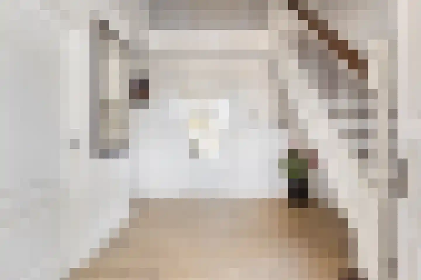 Nieuwmoersesteenweg 84 Paterswolde thumbnail 5
