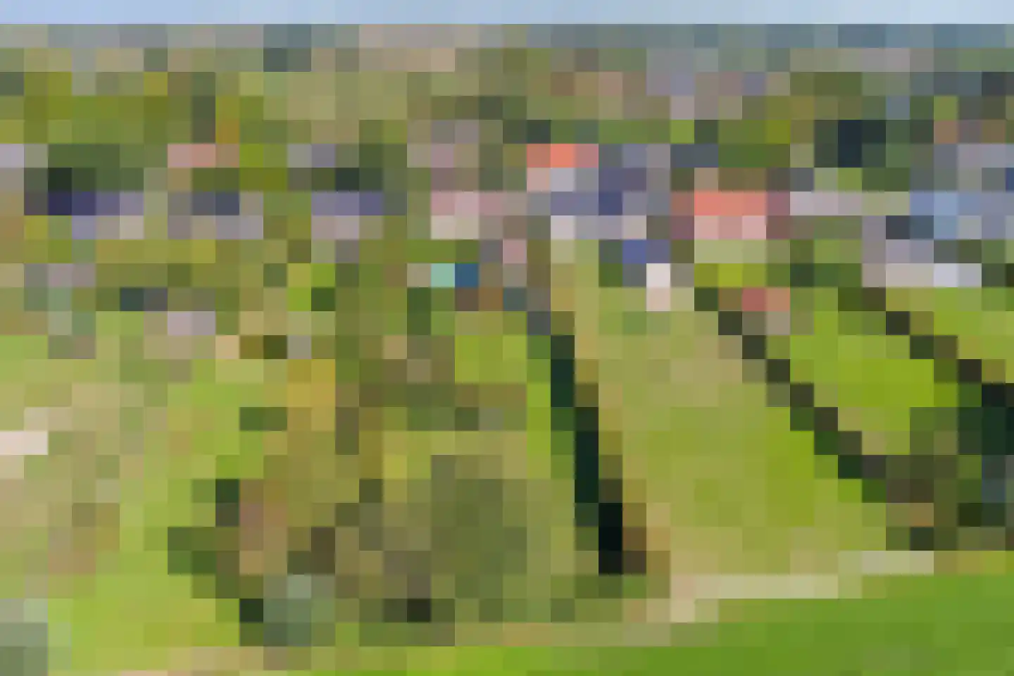 Nieuwmoersesteenweg 84 Paterswolde thumbnail 51