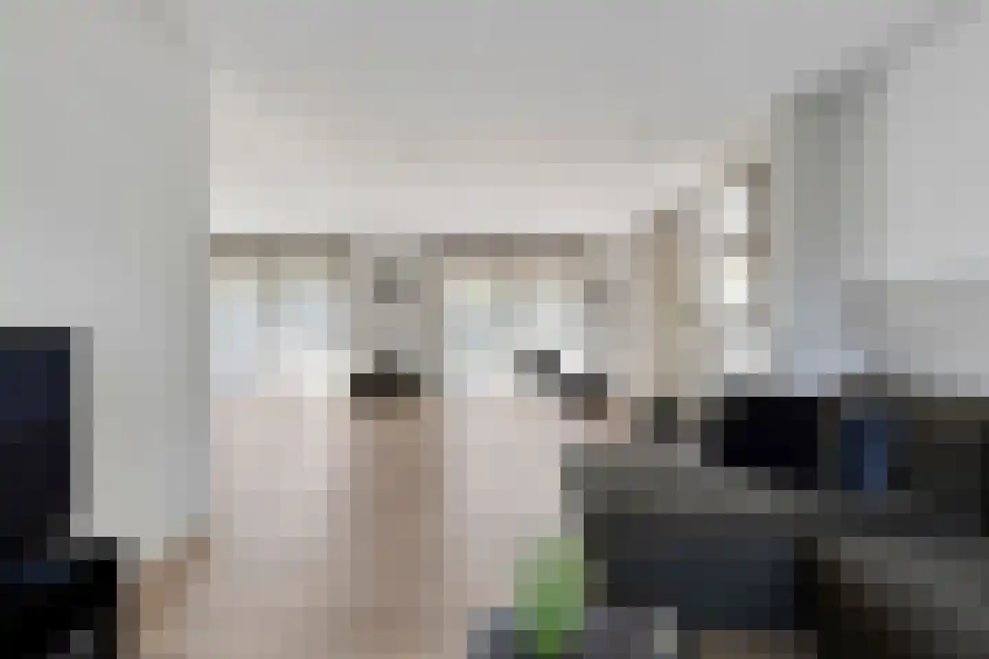 Nieuwmoersesteenweg 84 Paterswolde thumbnail 9