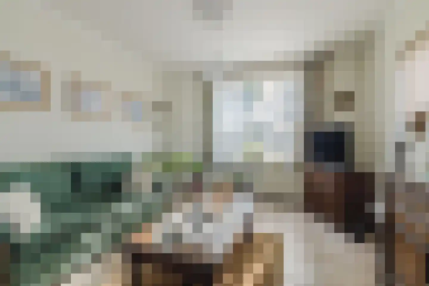 Nieuwmoerseweg 12 b Achtmaal thumbnail 11