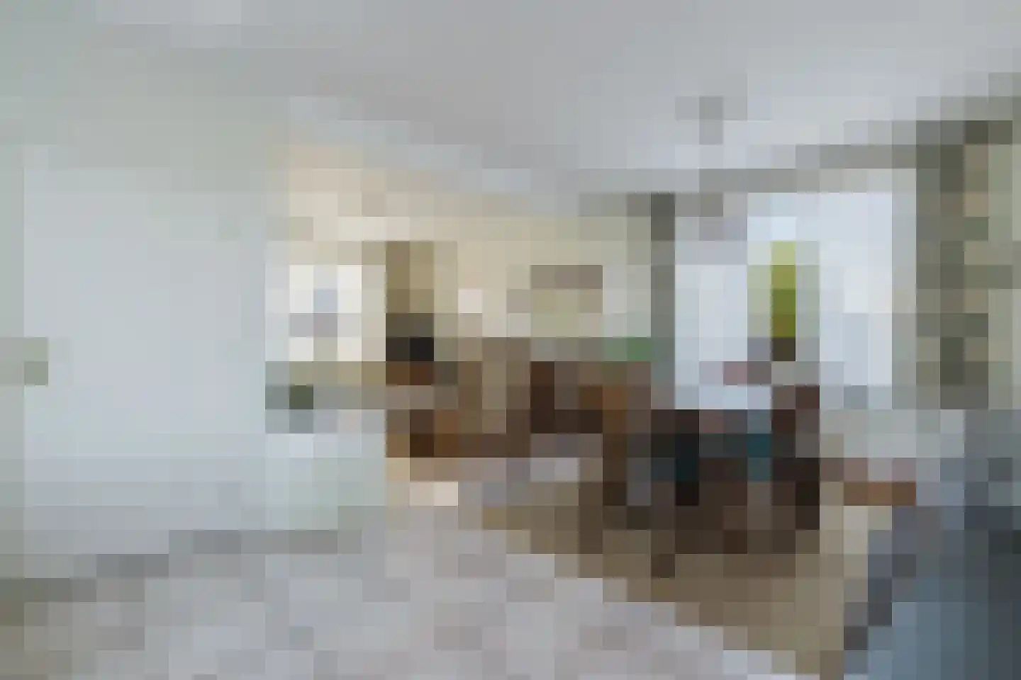 Nieuwmoerseweg 12 b Achtmaal thumbnail 12
