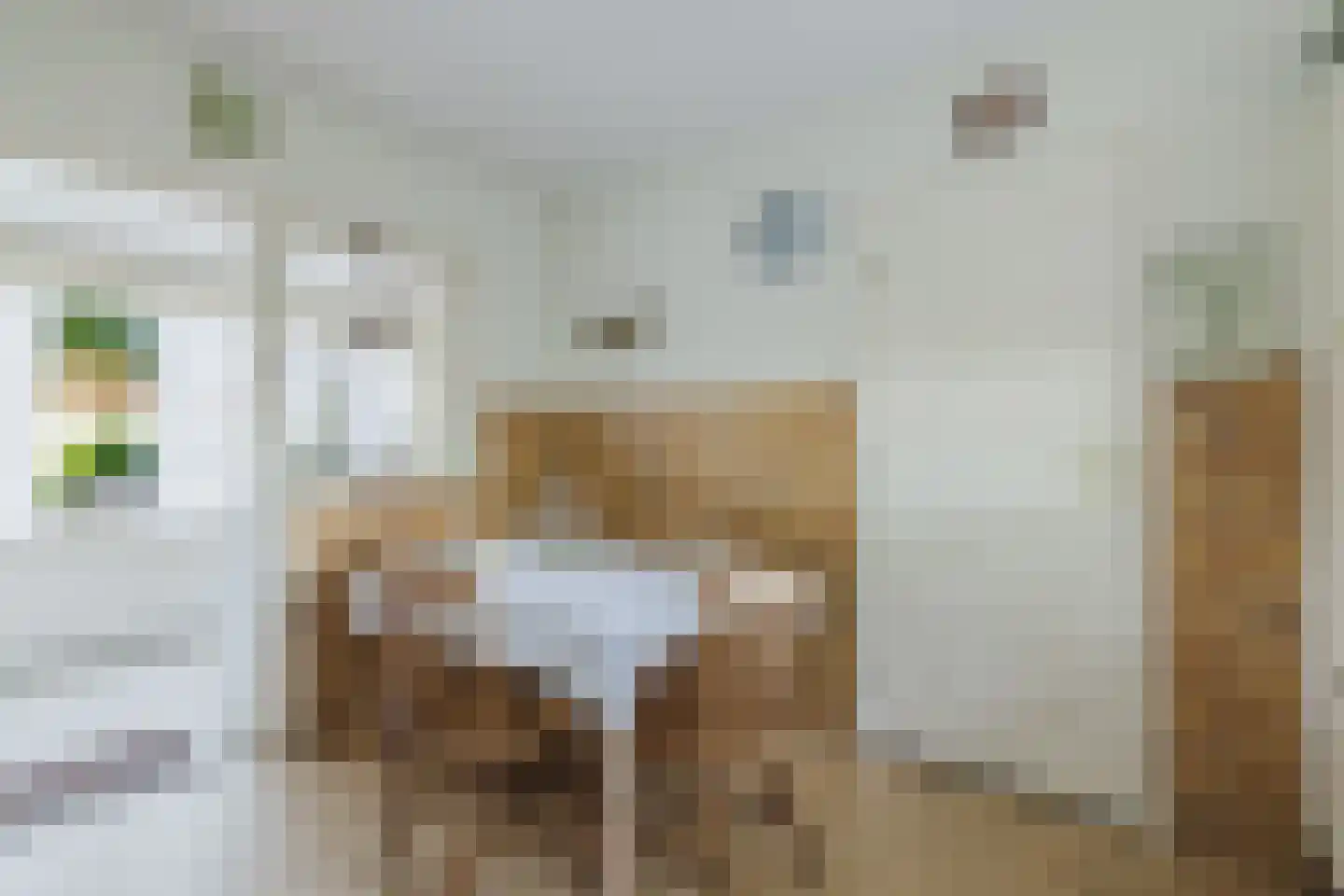 Nieuwmoerseweg 12 b Achtmaal thumbnail 19