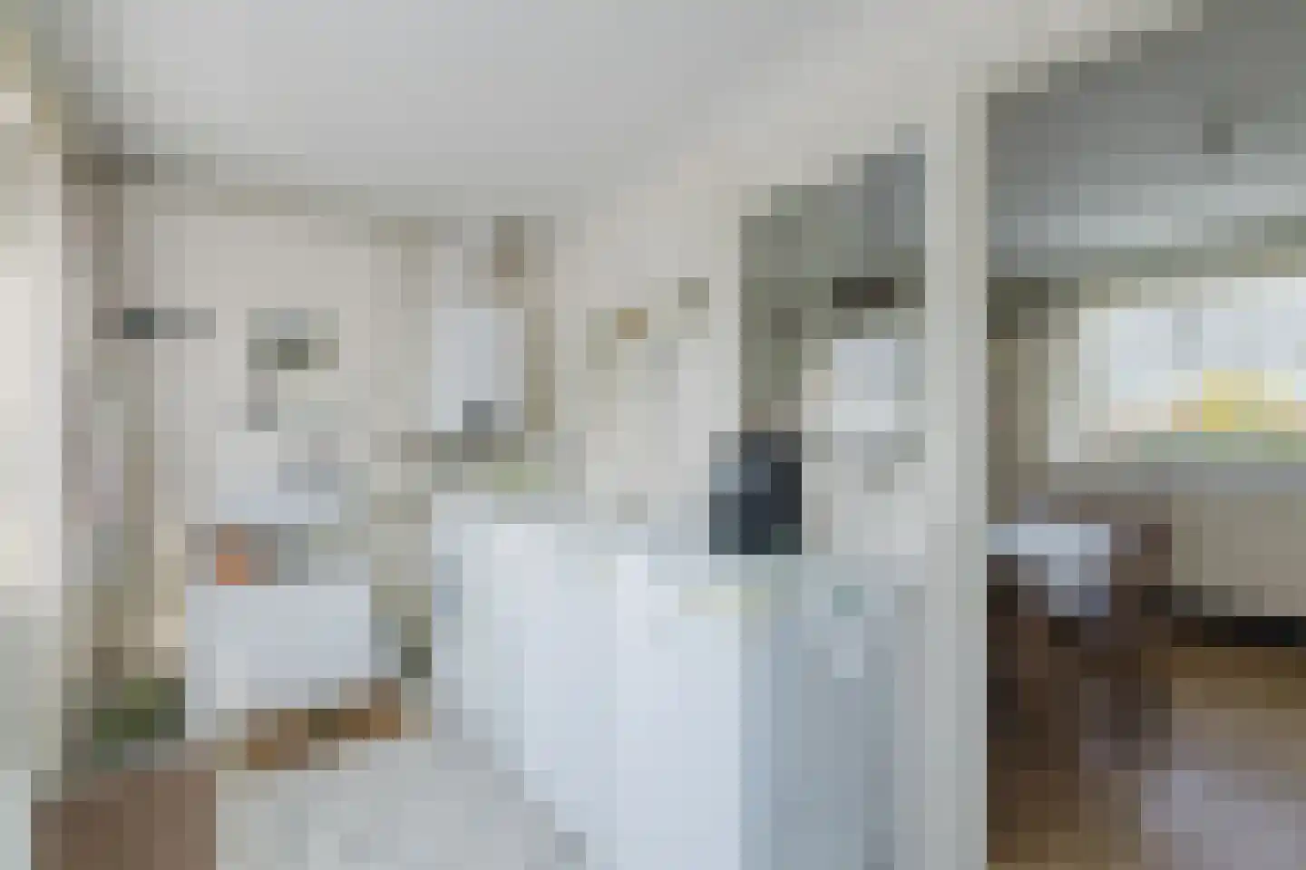 Nieuwmoerseweg 12 b Achtmaal thumbnail 21