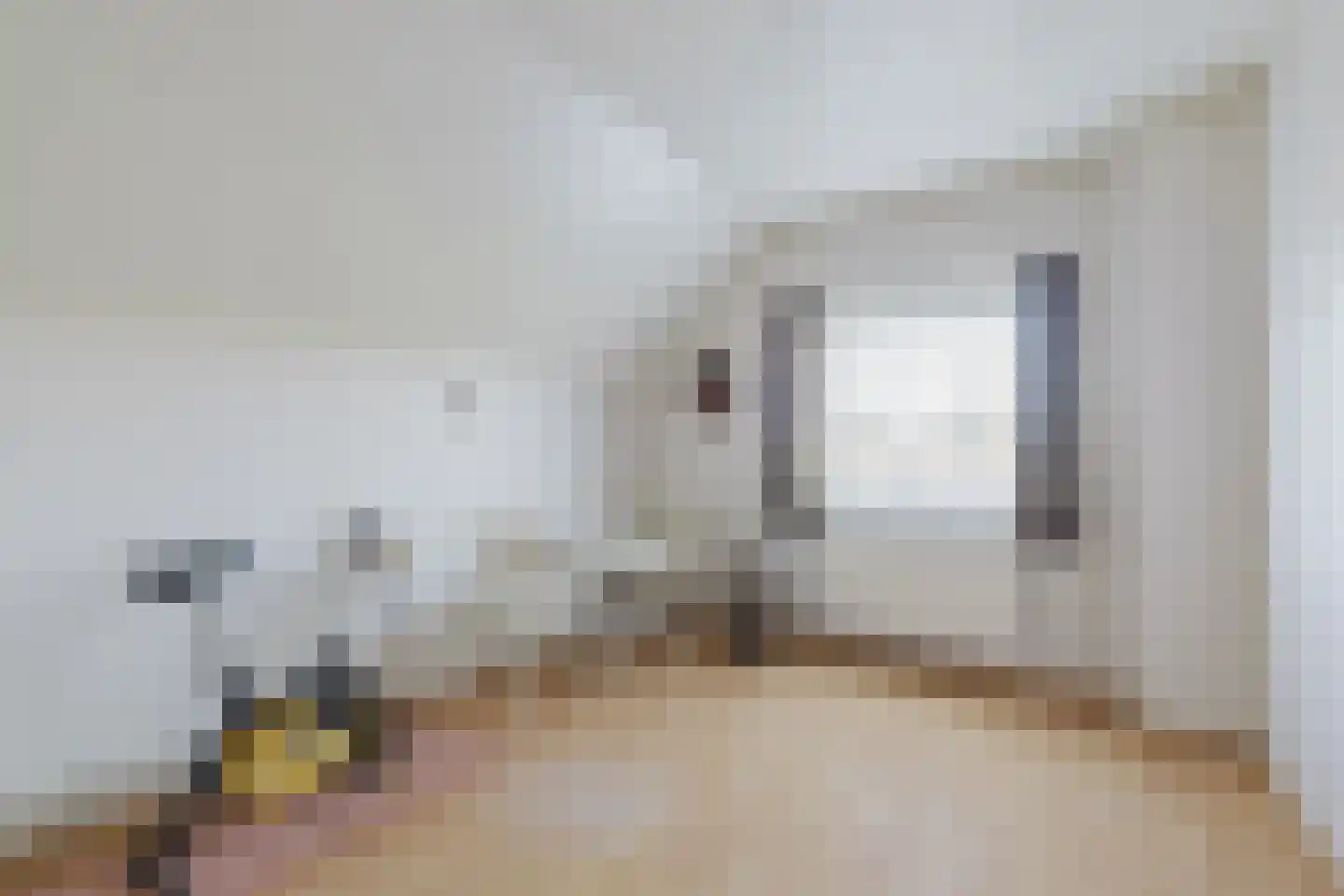 Nieuwmoerseweg 12 b Achtmaal thumbnail 29