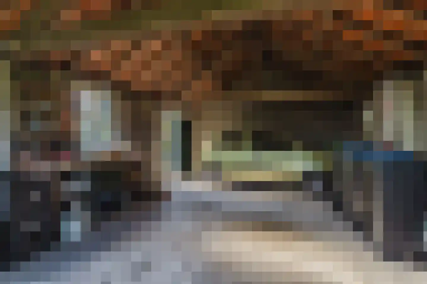 Nieuwmoerseweg 12 b Achtmaal thumbnail 42