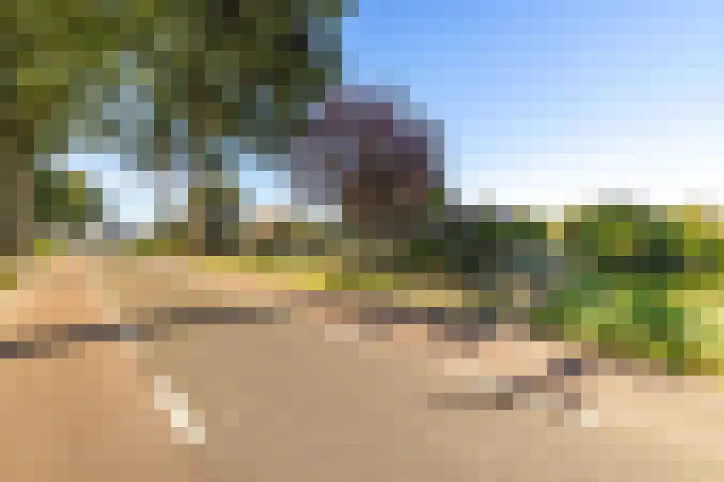 Nieuwmoerseweg 12 b Achtmaal thumbnail 49