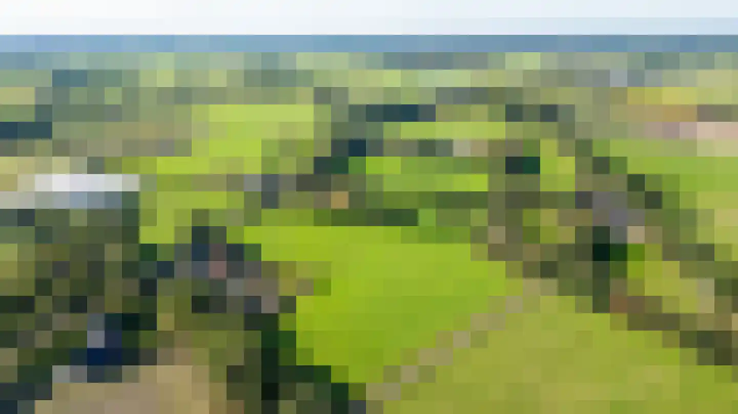 Nieuwmoerseweg 12 b Achtmaal thumbnail 52