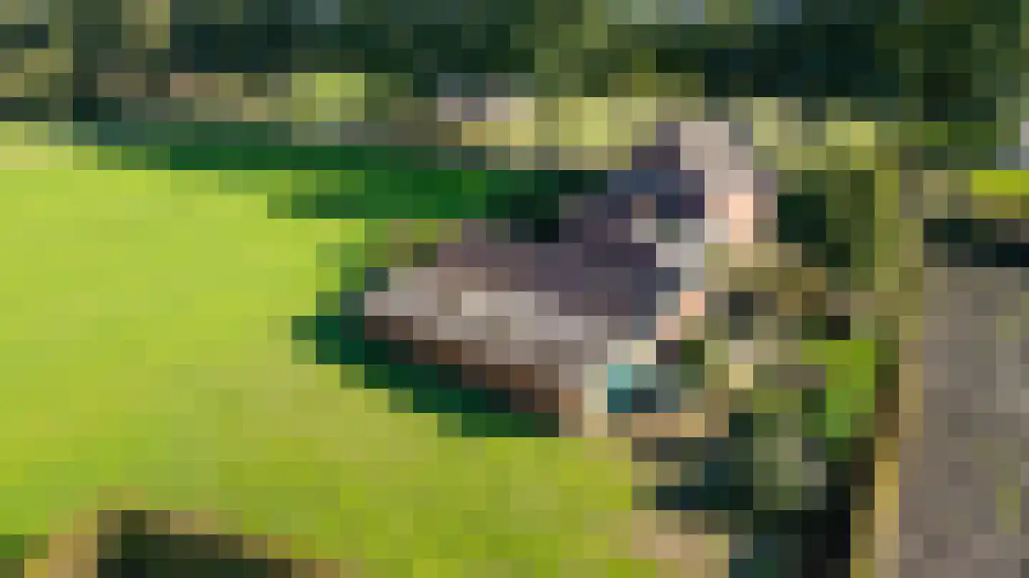 Nieuwmoerseweg 12 b Achtmaal thumbnail 7