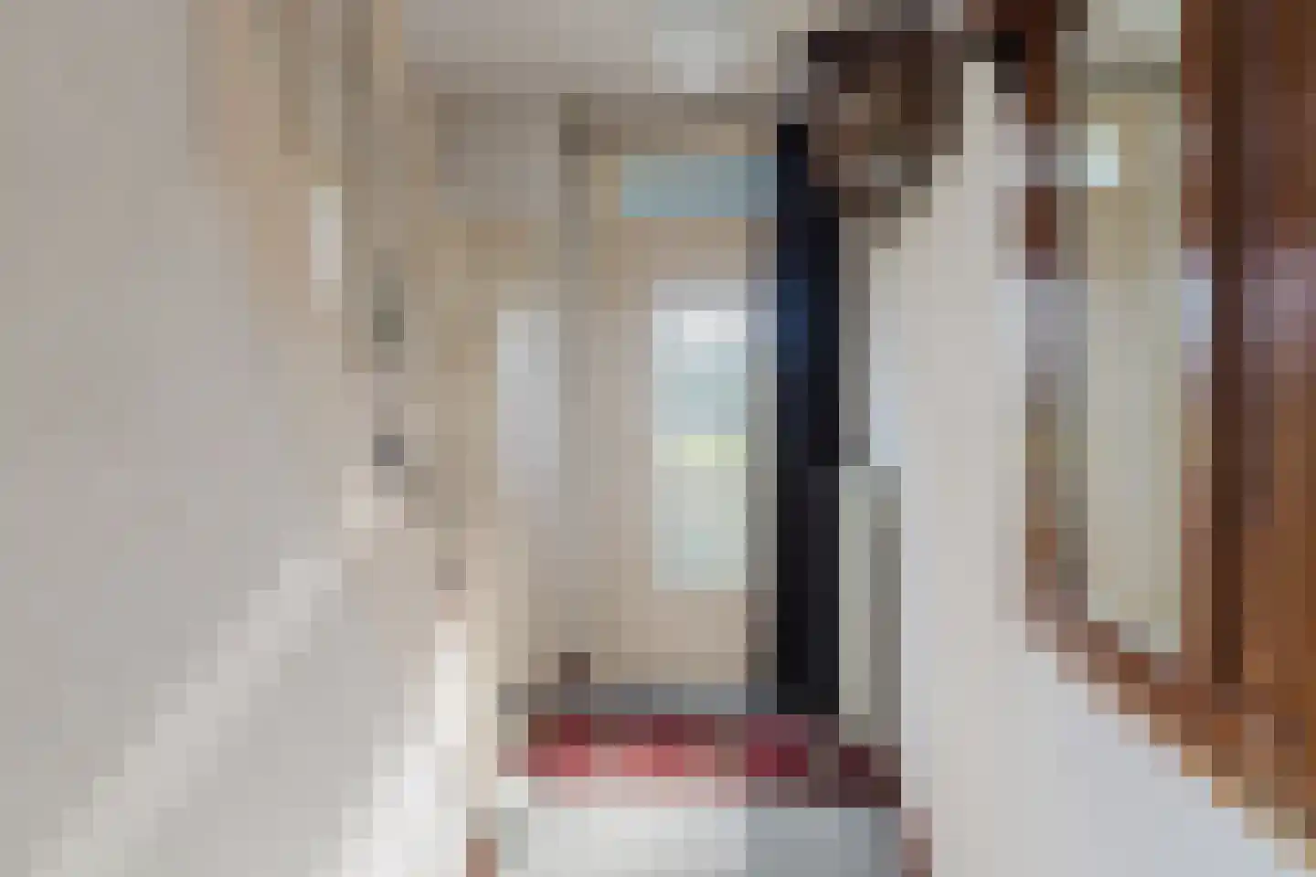 Nieuwmoerseweg 12 b Achtmaal thumbnail 8