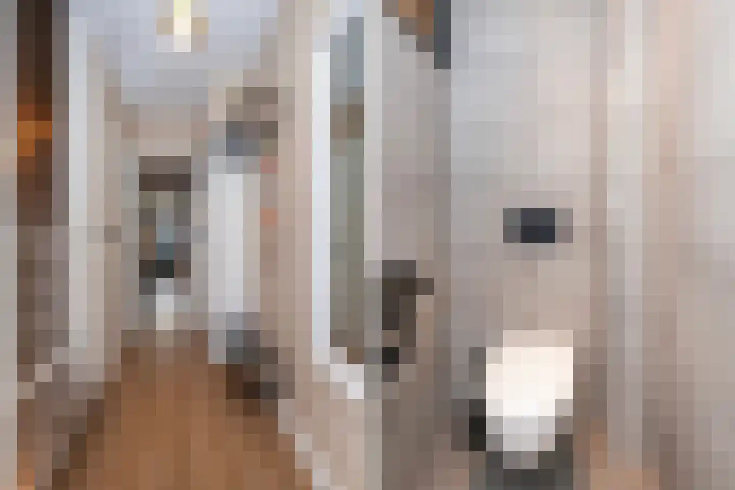 Nieuwpoortseweg 42 Nieuwpoort thumbnail 5