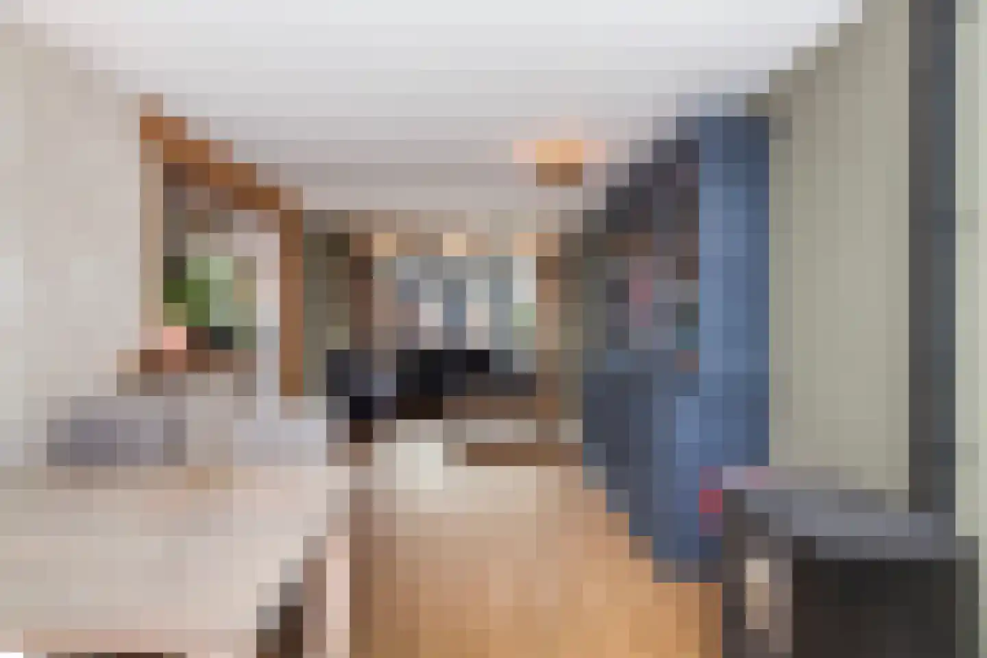 Nieuwpoortseweg 42 Nieuwpoort thumbnail 6