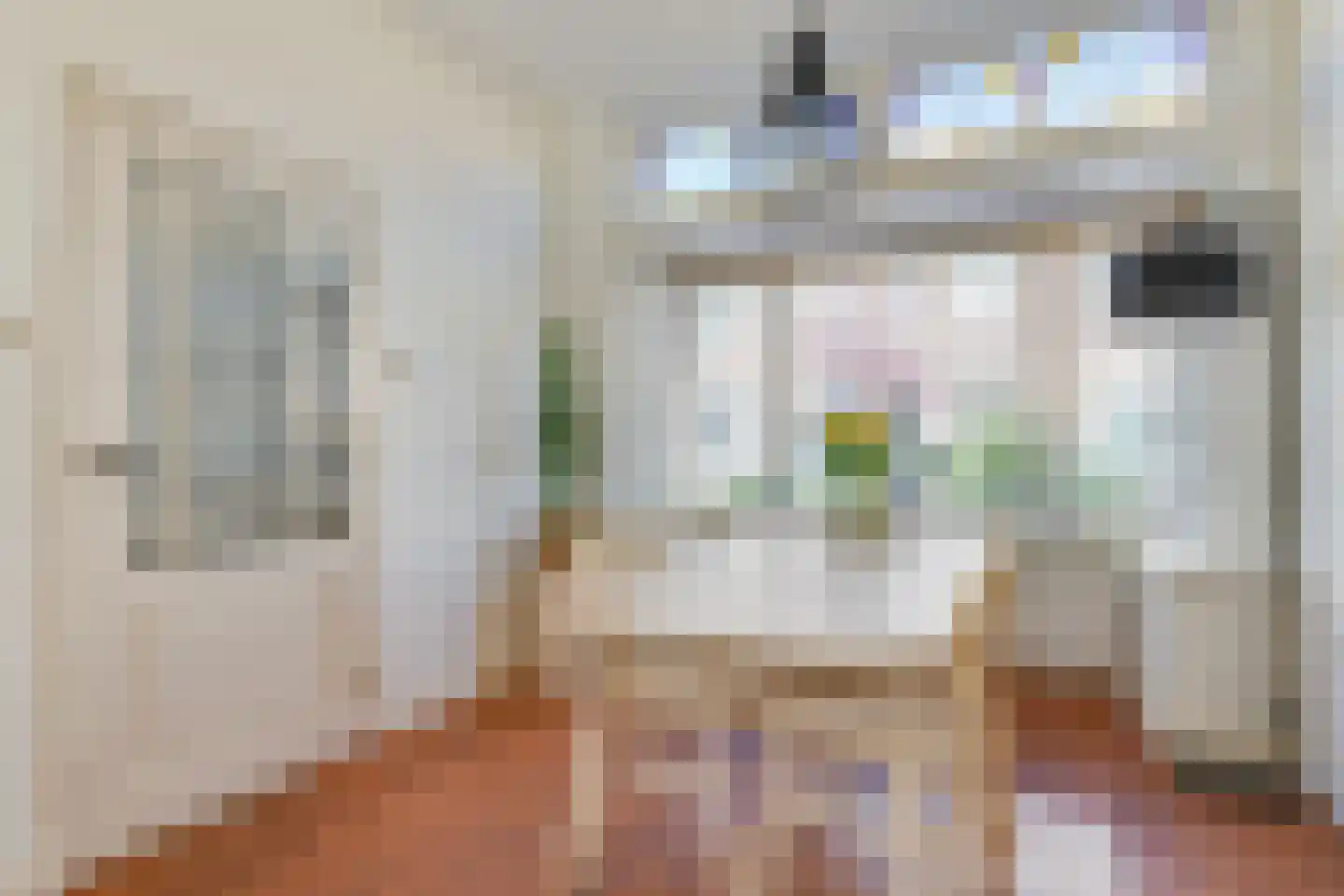 Nieuwpoortslaan 101 Alkmaar thumbnail 15