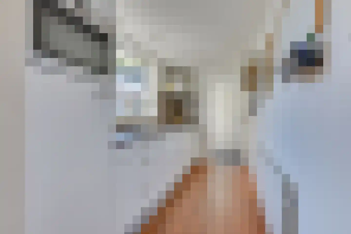 Nieuwpoortslaan 101 Alkmaar thumbnail 17