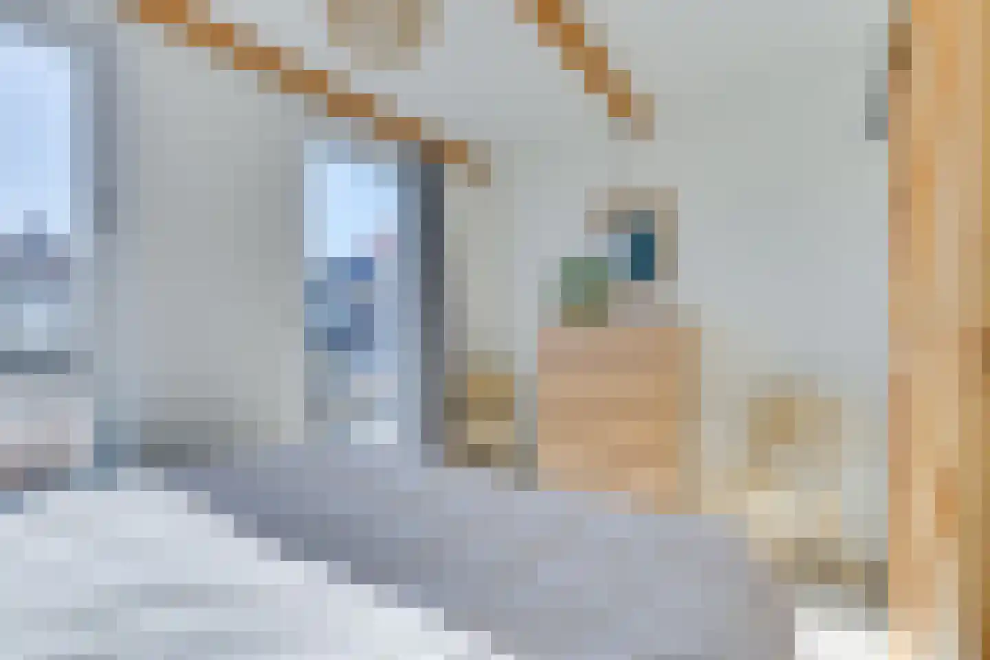 Nieuwpoortslaan 101 Alkmaar thumbnail 33