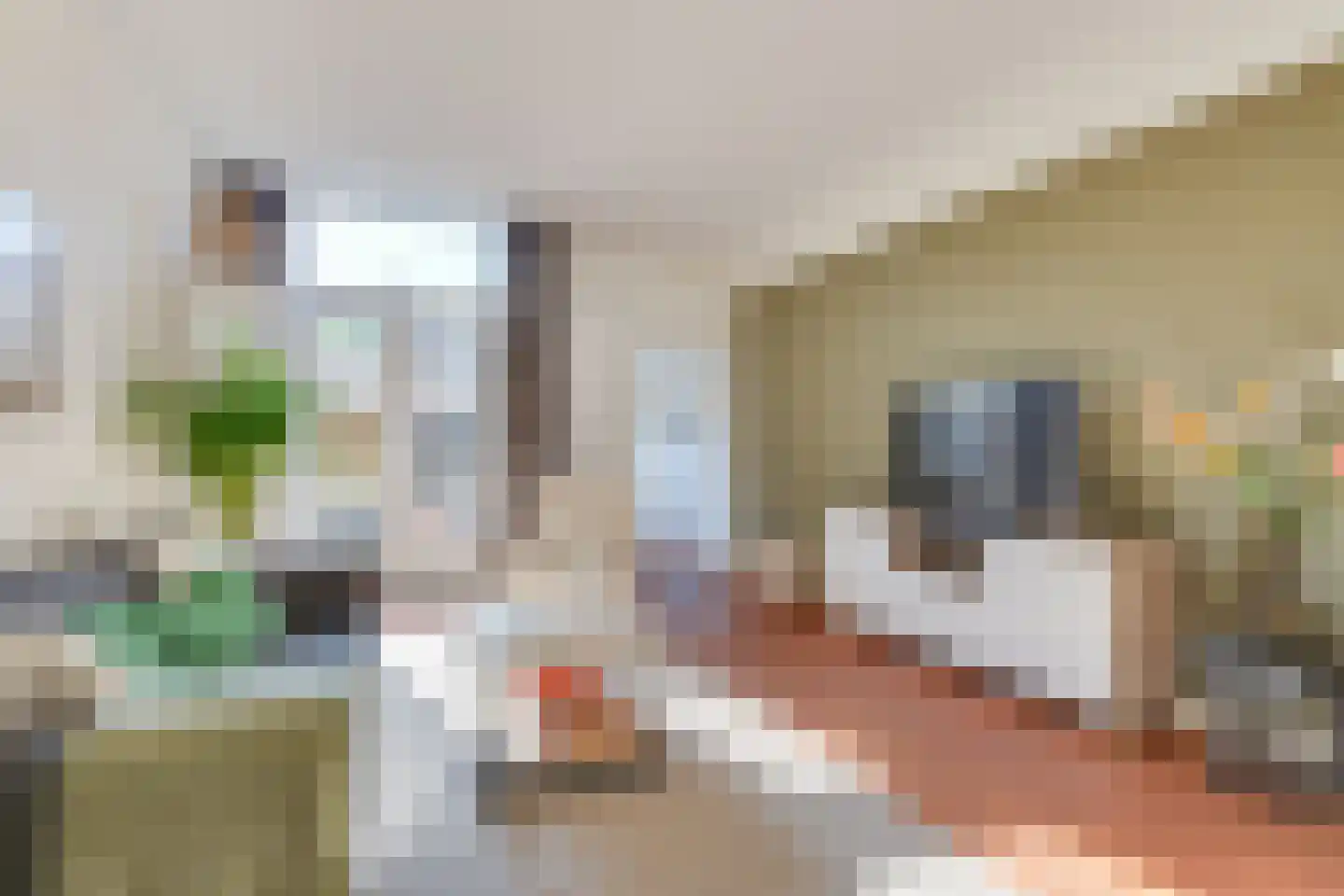 Nieuwpoortslaan 101 Alkmaar thumbnail 9