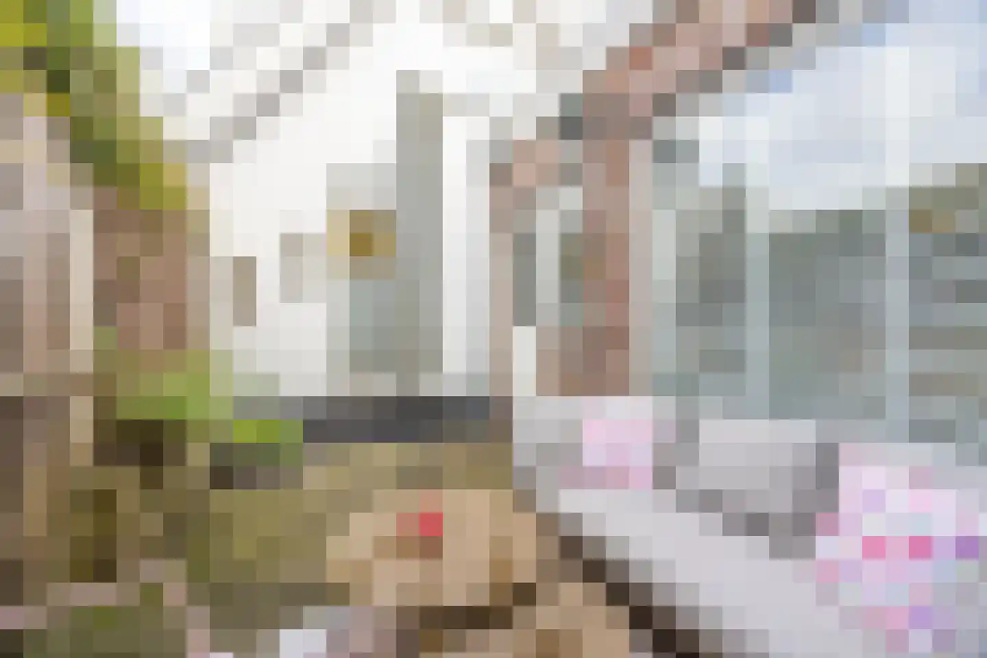 Nieuwpoortslaan 102 Alkmaar thumbnail 10