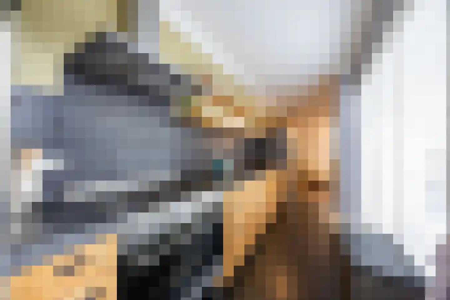 Nieuwpoortslaan 102 Alkmaar thumbnail 11