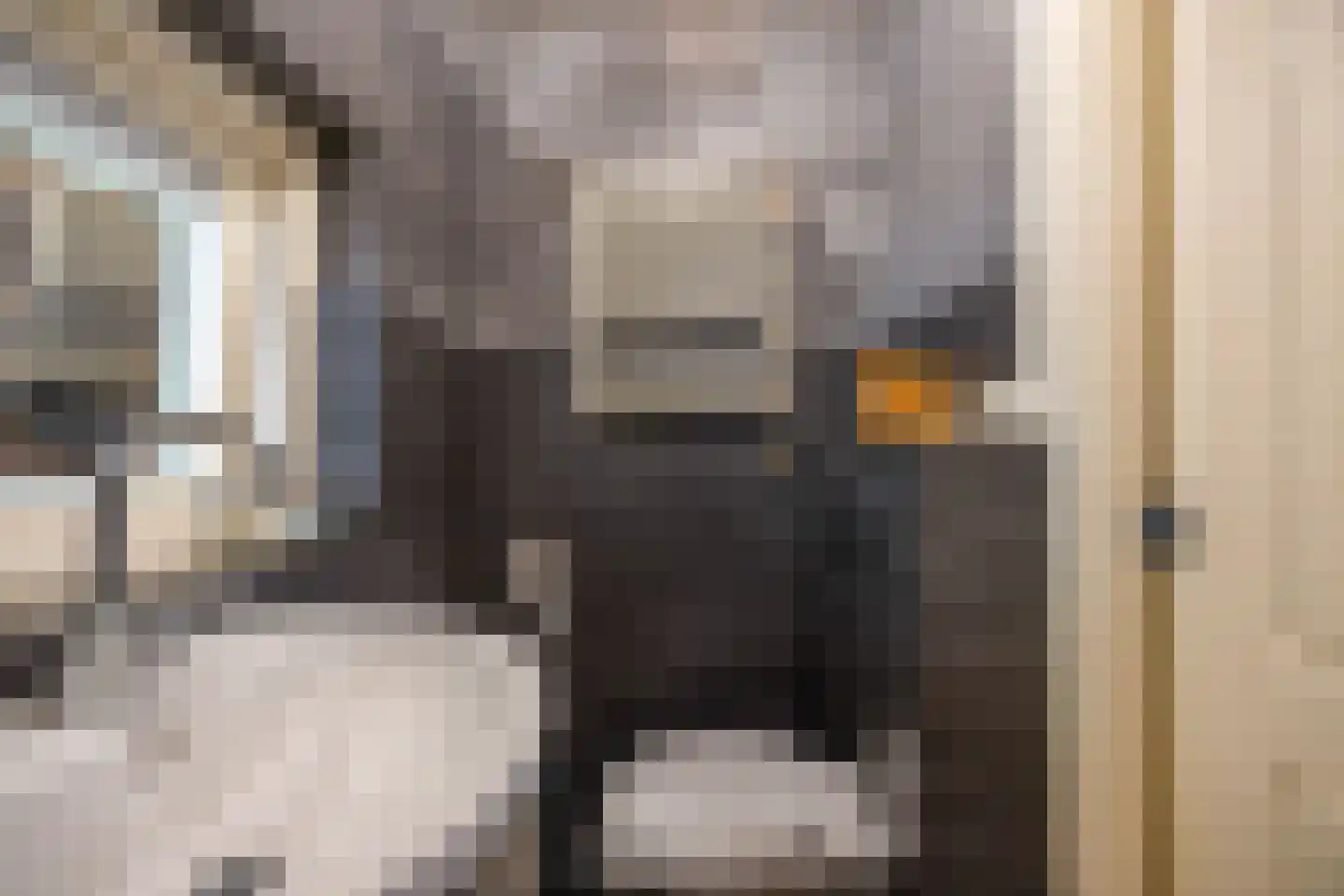 Nieuwpoortslaan 102 Alkmaar thumbnail 19