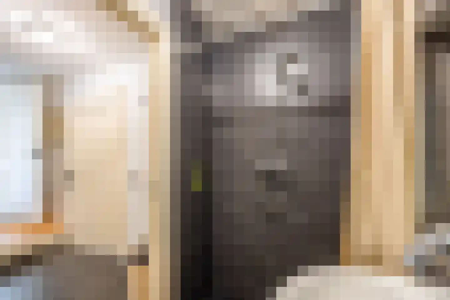 Nieuwpoortslaan 102 Alkmaar thumbnail 20